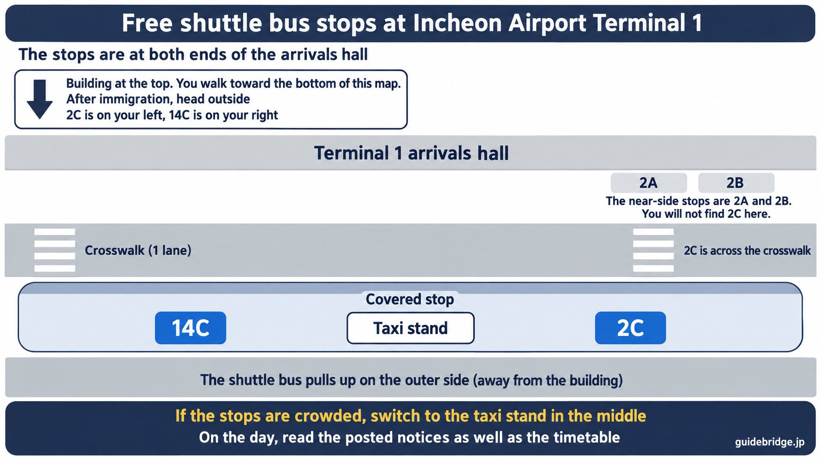 Map of the free shuttle bus stops at the Terminal 1 arrivals hall of Incheon Airport. Stops 2A and 2B are on the sidewalk by the building. Across the crosswalk, on a covered island, are stops 14C and 2C at either end with the taxi stand in the middle, and the shuttle bus stops on the outer side of the island.